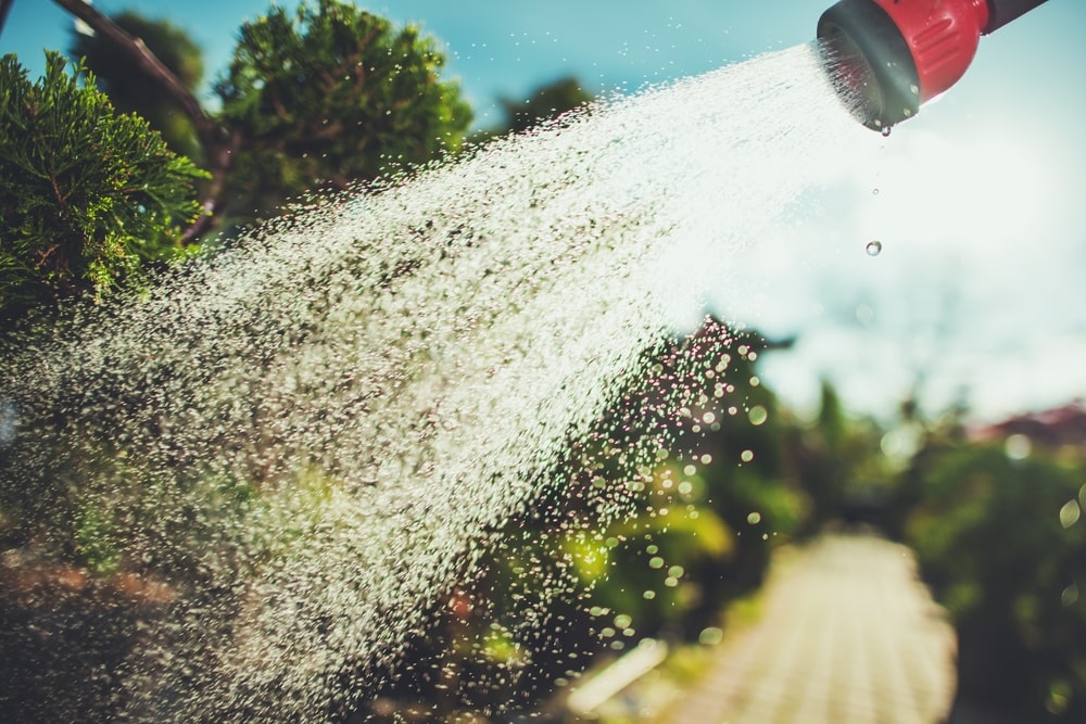 How to Save Water During the Summer in Canada